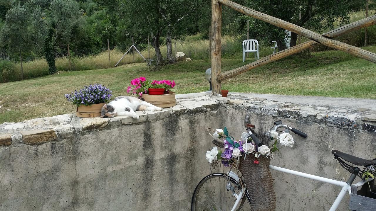 B&B Le Torri Di Firenze Fiesole Exterior foto